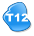 T12