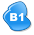 B1